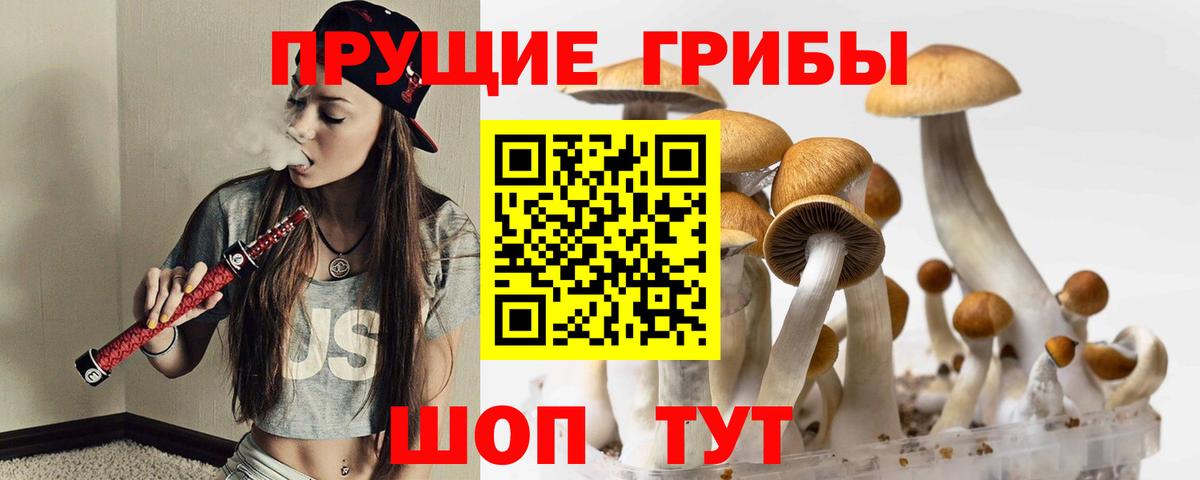 Псилоцибиновые грибы Psilocybine cubensis  Вход с VPN  Псилоцибиновые грибы GOLDEN TEACHER  Ульяновск 